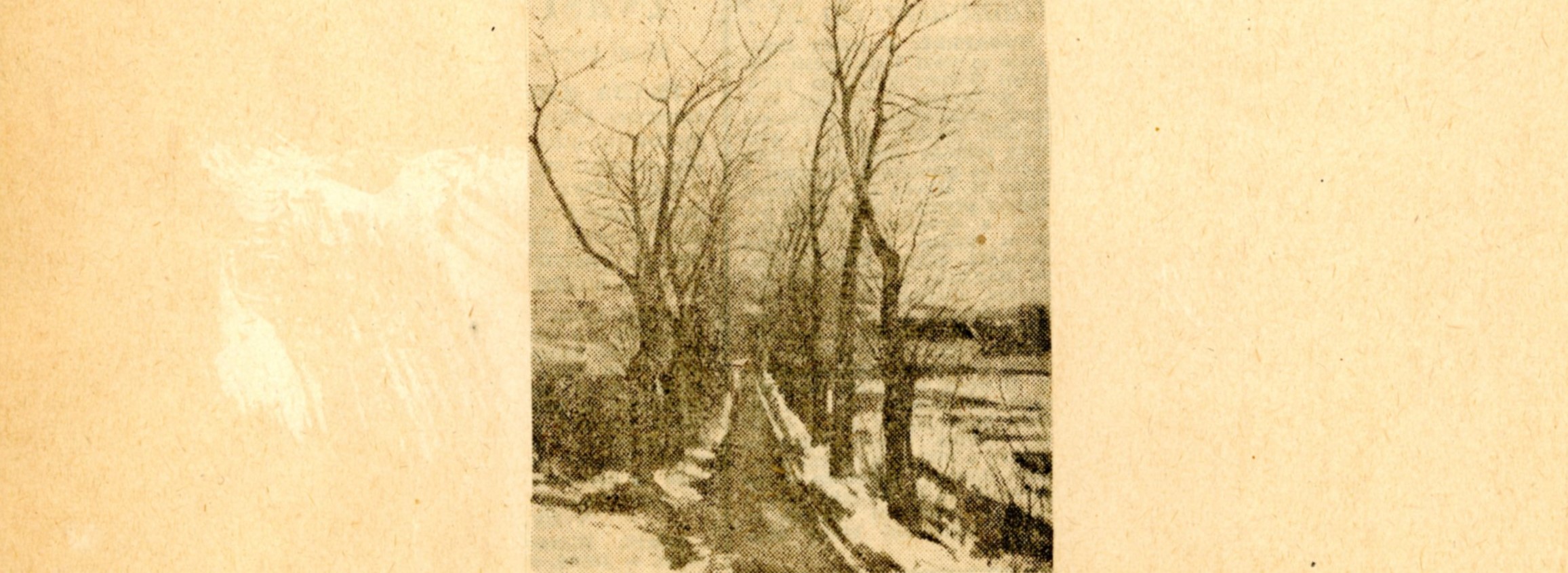 Naše současné malířství