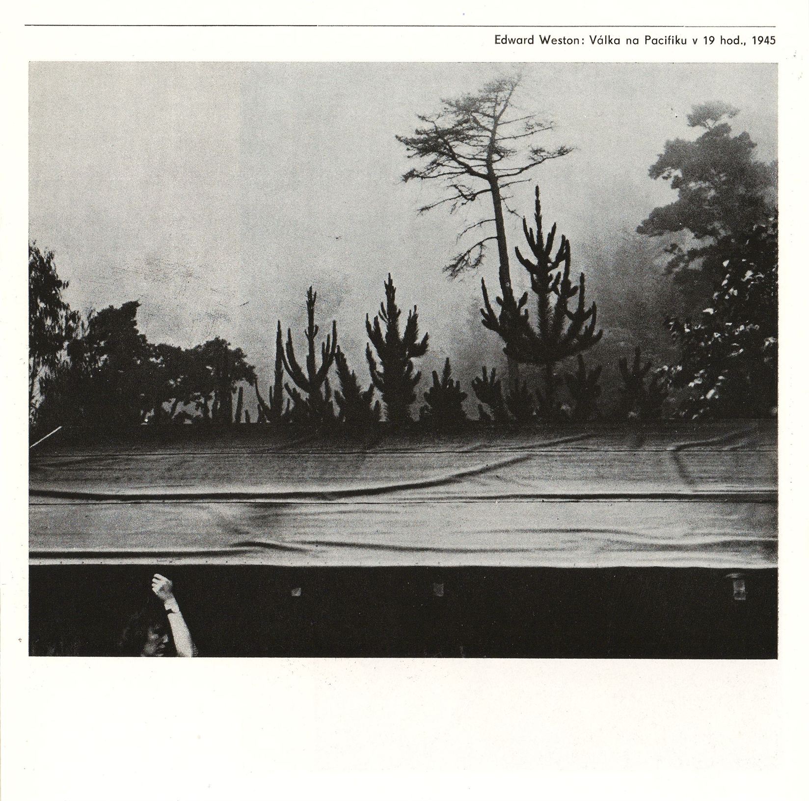 Příběh fotografie