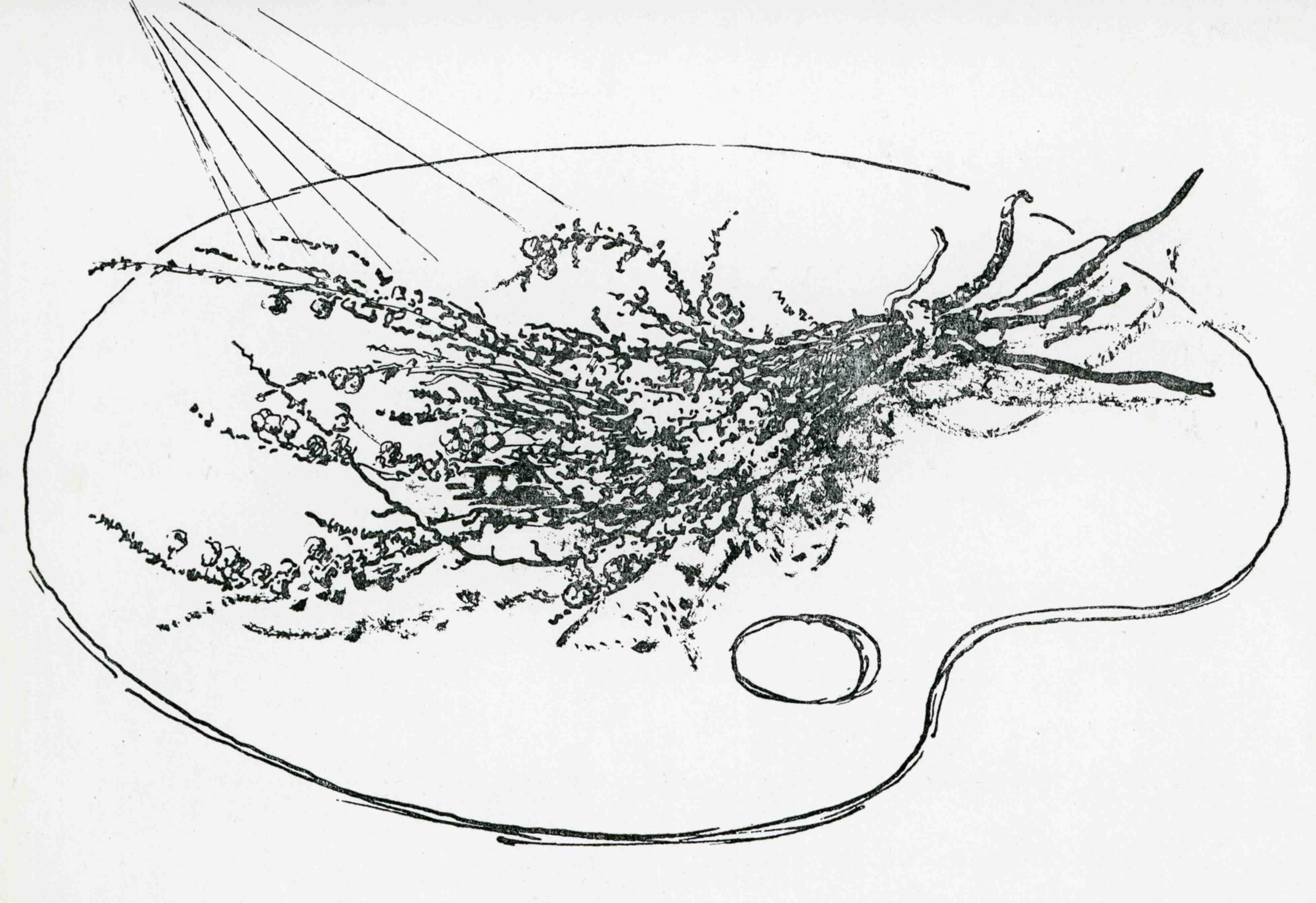 Milena Šimková-Elgrová