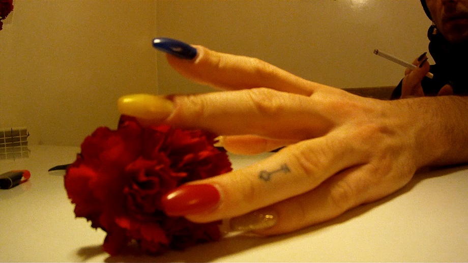 WE WILL NOT CHANGE OUR SHOW / #FLUID - Songs  and Ballads from Romanian Gay Herstory