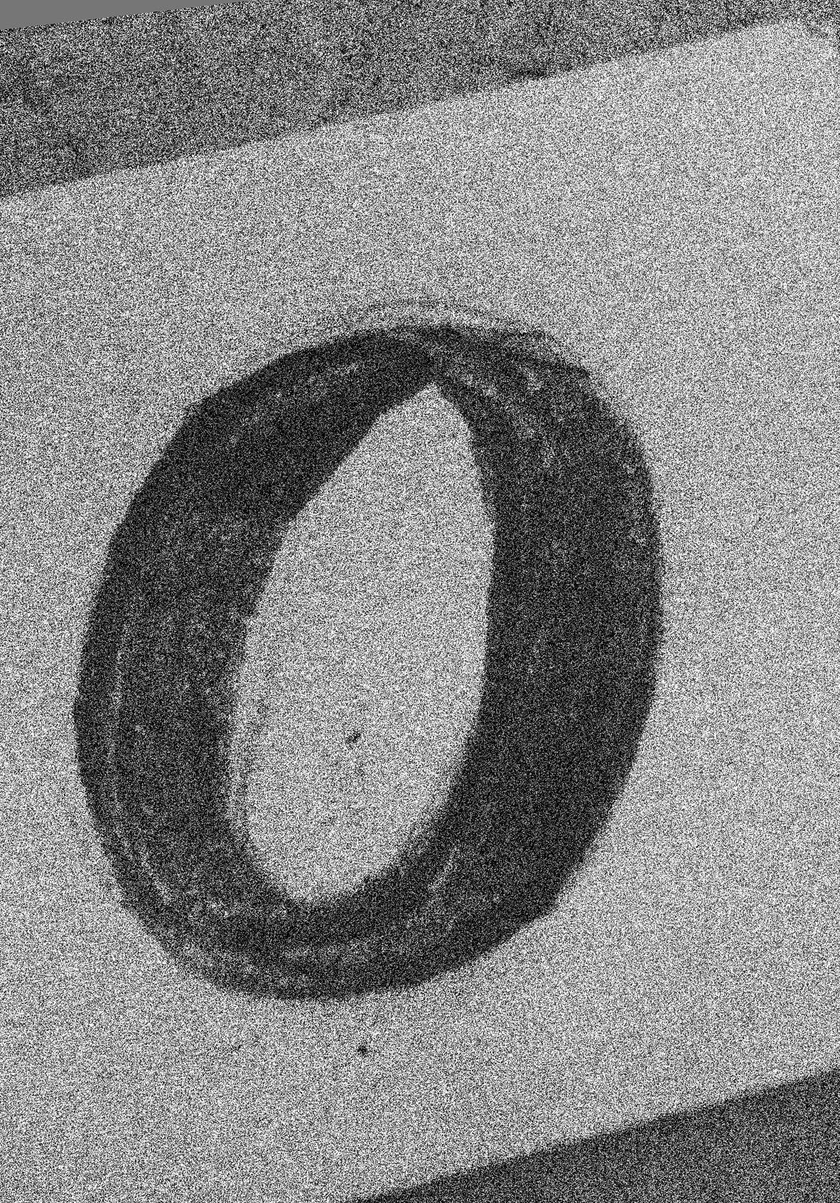 A Ring in the Parking Lot