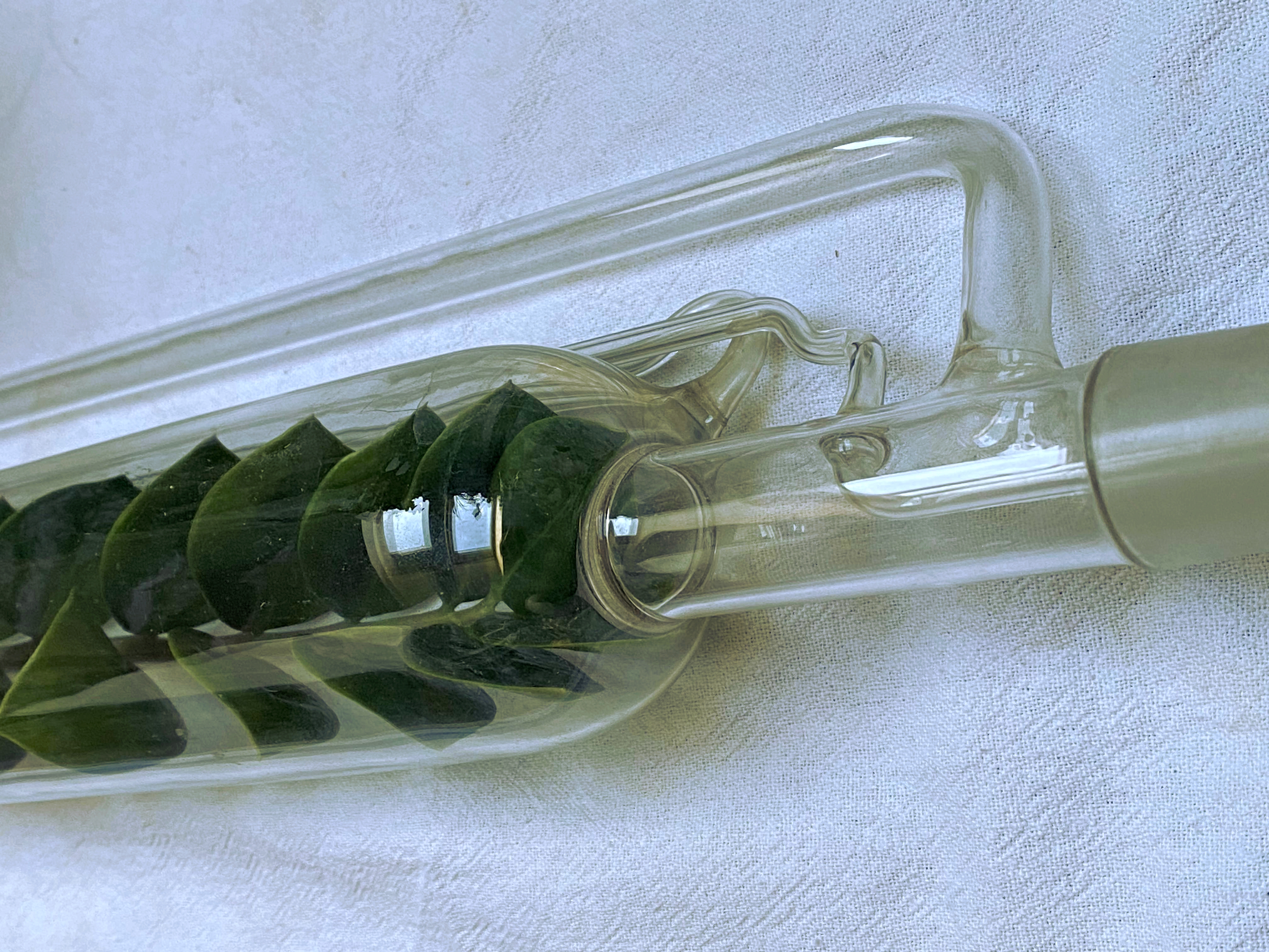 Pro mě v&nbsp;Domě chlorofylově