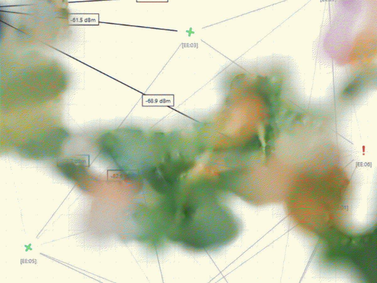 Cailean Finn: The Garden