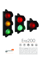 FLYER-A5-ESTRATTO-ERA200.pdf