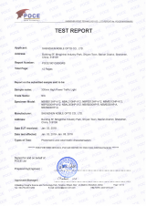 POCE18010308GRS-nuo-bi-300mm-Optical-test-report.pdf