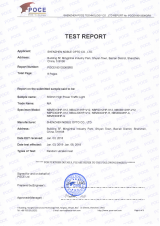 POCE18010306GRS-nuo-bi-300mm-Vibration-test-report.pdf