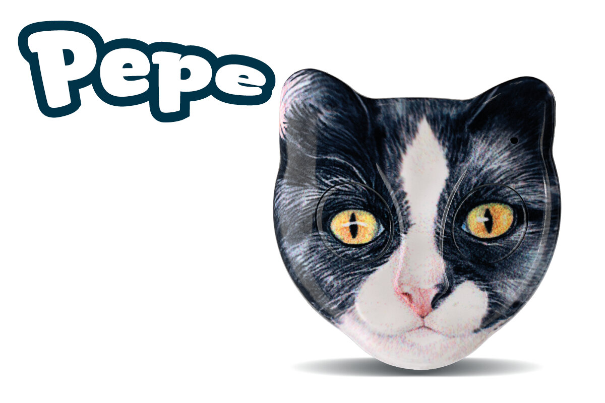 AN2/CAT/PEPE - dvoukanálový dálkový ovladač ROGER ZOOLOCK