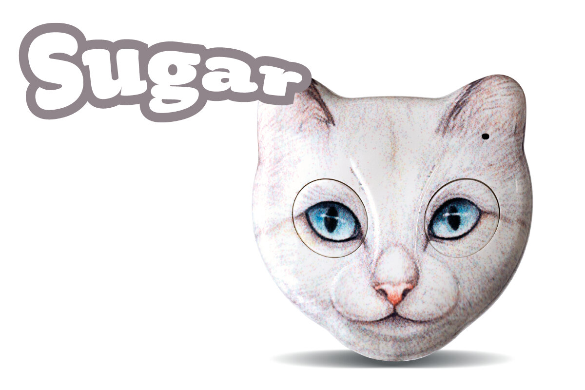 AN2/CAT/SUGAR - dvoukanálový dálkový ovladač ROGER ZOOLOCK