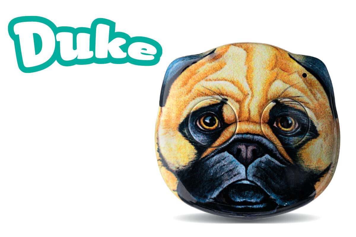 AN2/DOG/DUKE - dvoukanálový dálkový ovladač ROGER ZOOLOCK