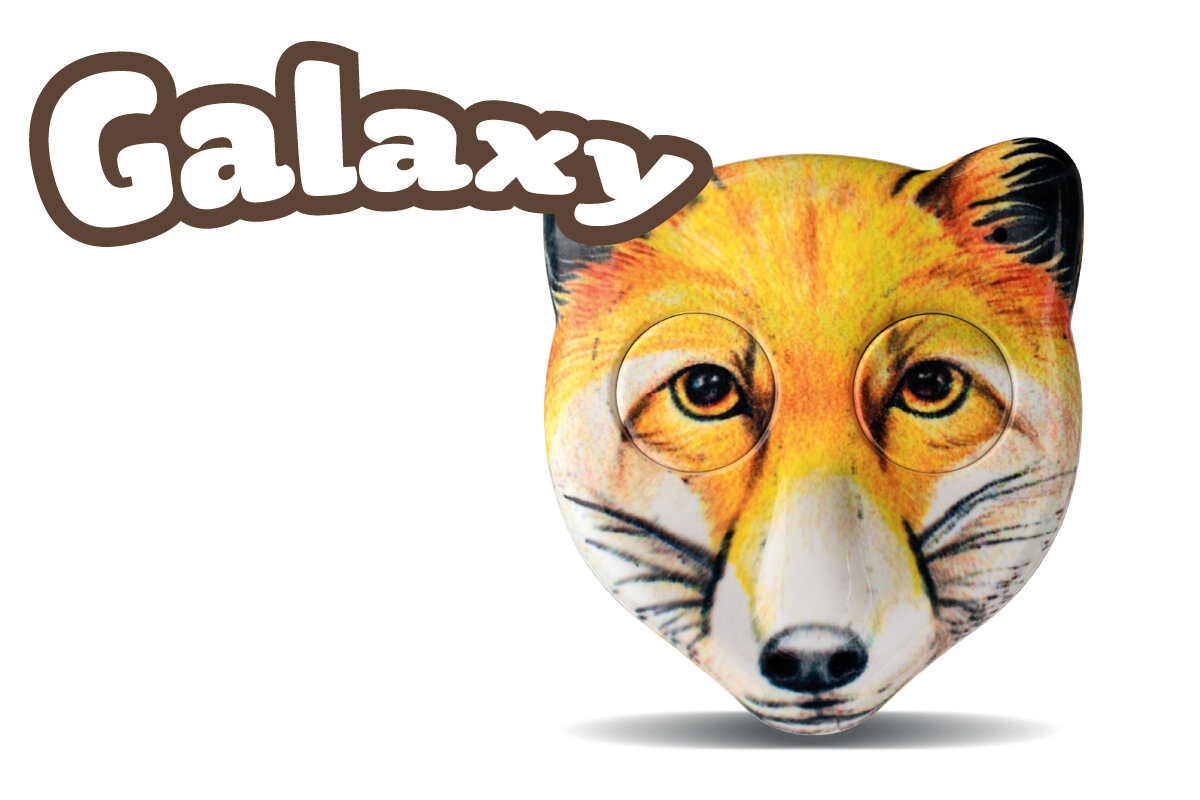 AN2/FOX/GALAXY - dvoukanálový dálkový ovladač ROGER ZOOLOCK