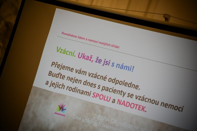 DVO Brno 2020