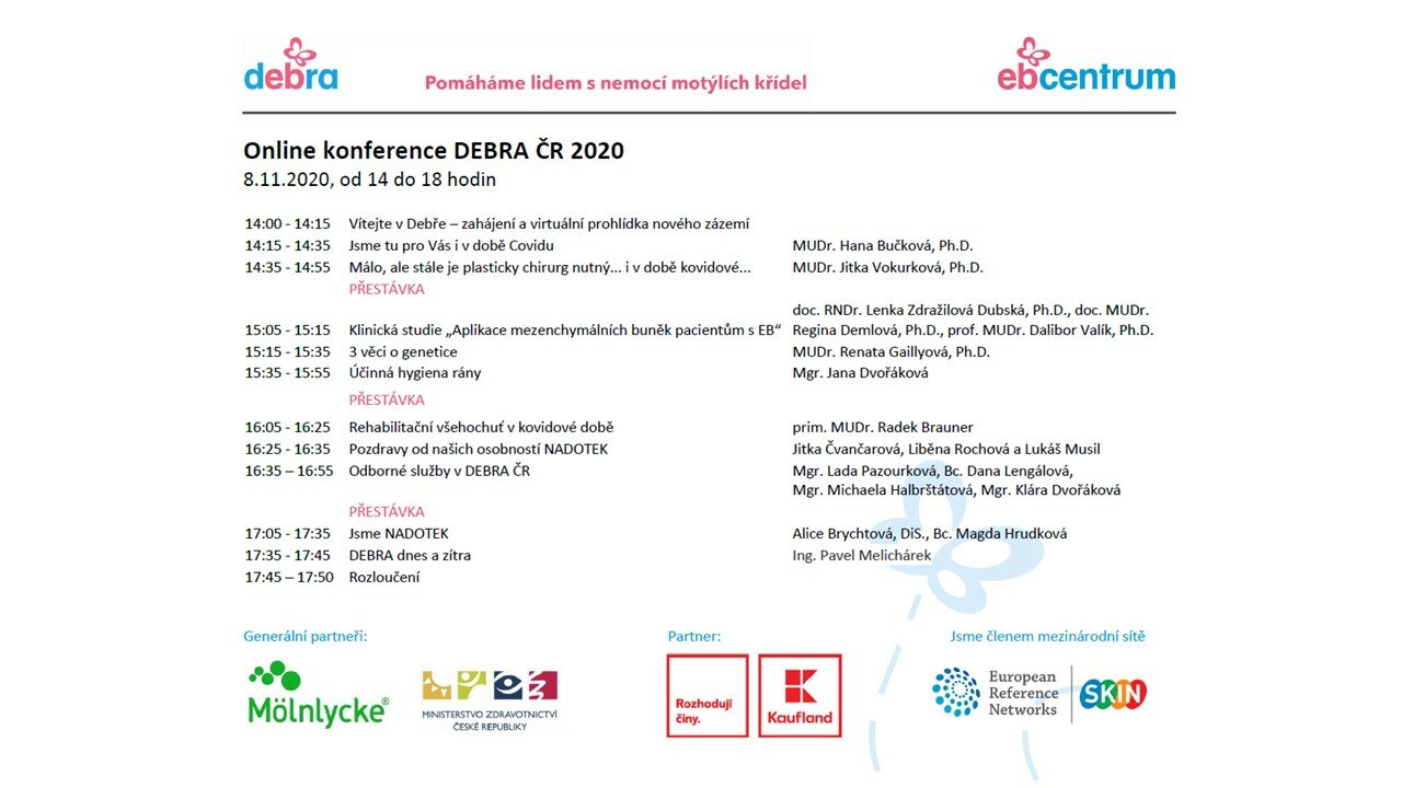 konference online