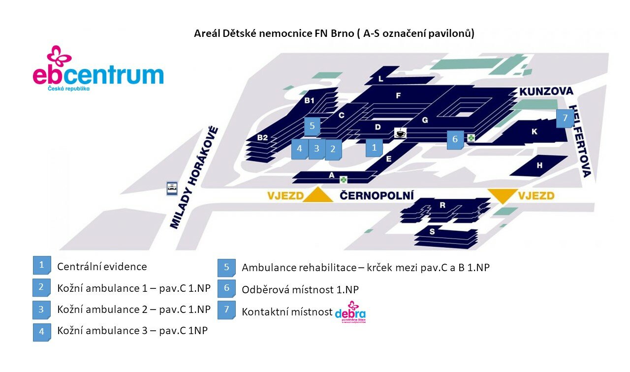 Areál Dětské FN Brno - Klinický den
