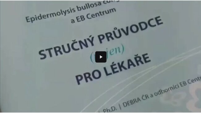 Viseo Polská návštěva