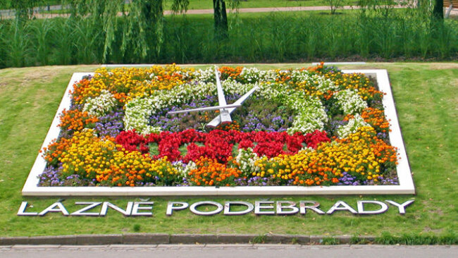 Poděbrady květiny