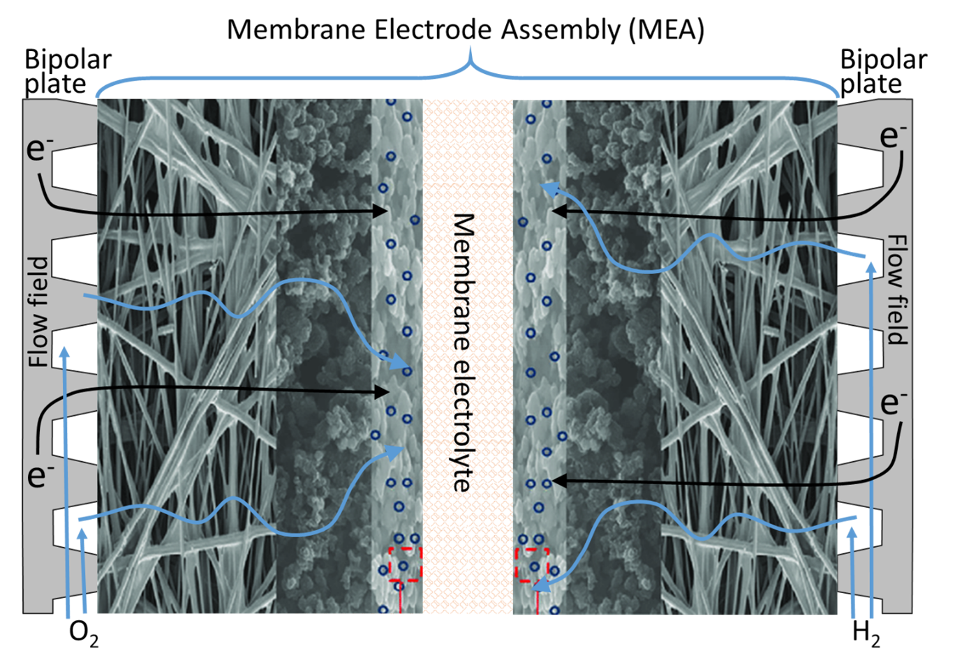 Horizon Educational - How Do Hydrogen Fuel Cells Work?
