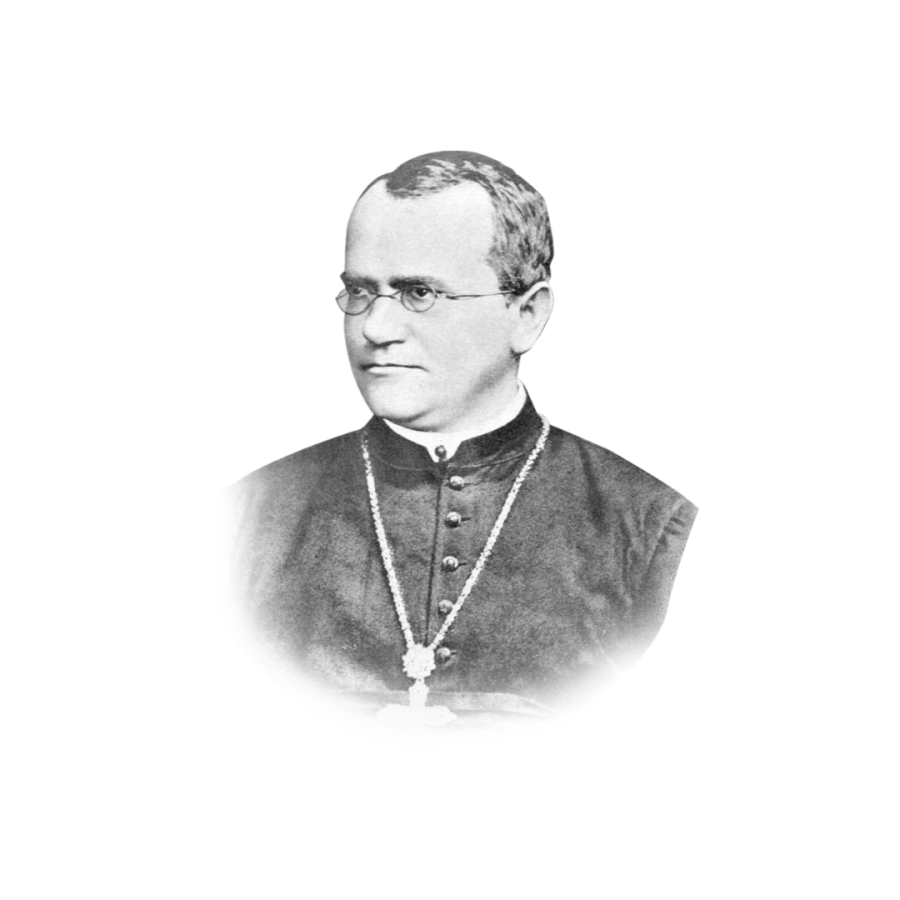 Gregor Mendel Biography Pdf