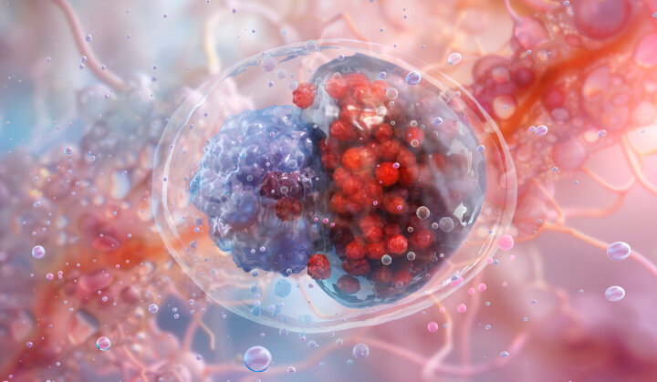 GeneProof Chlamydia trachomatis PCR testing