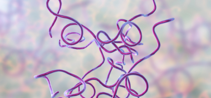GeneProof Borrelia burgdorferi PCR Kit