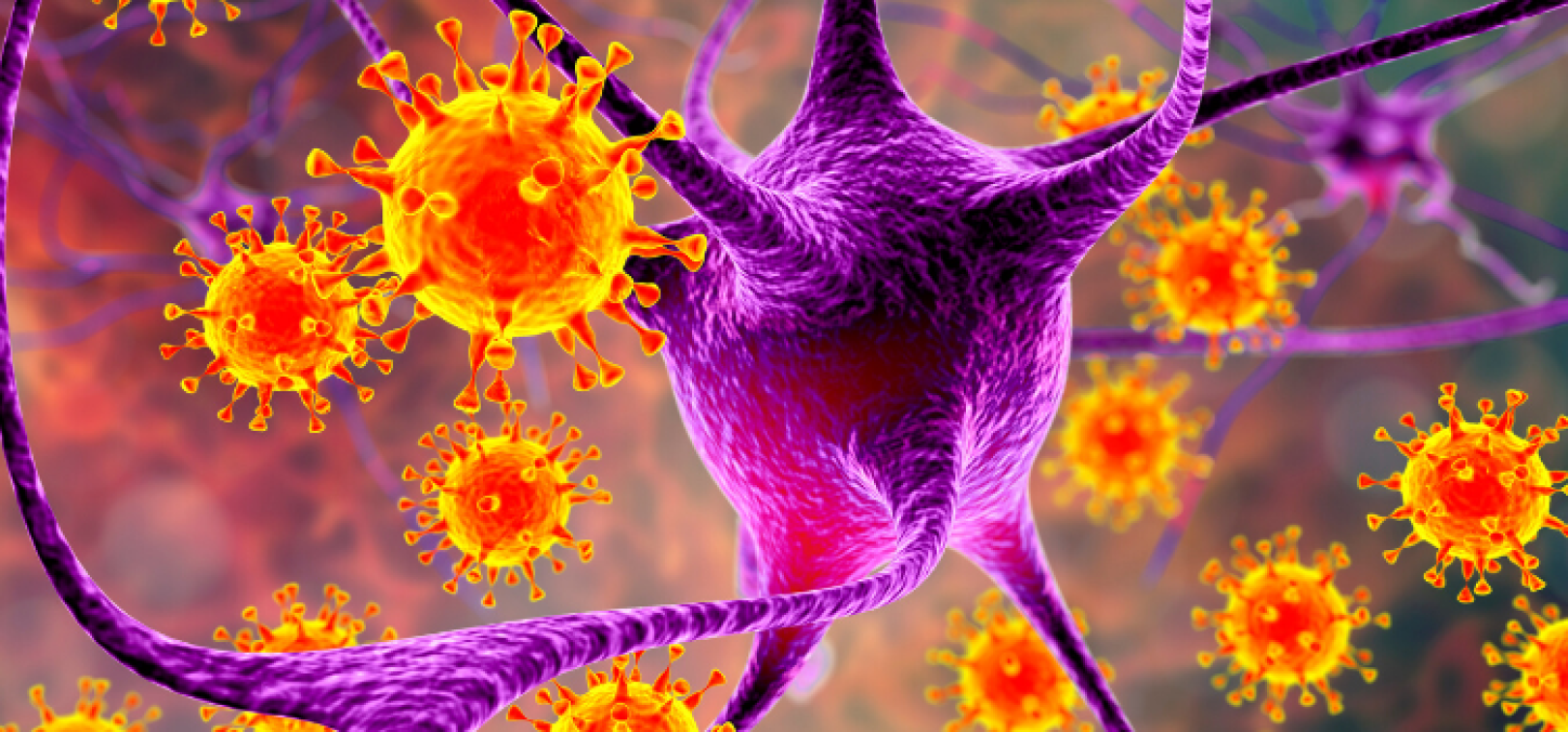 endometrial cancer bmj